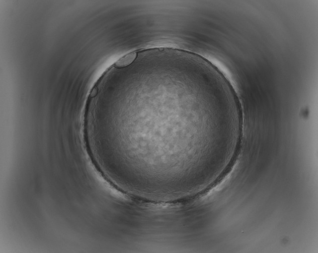 X0000091480949200708161416