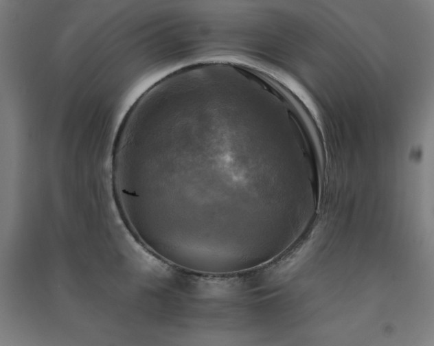X0000091480951200708161416