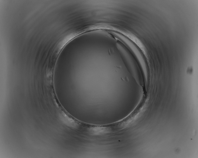 X0000091480953200708161416