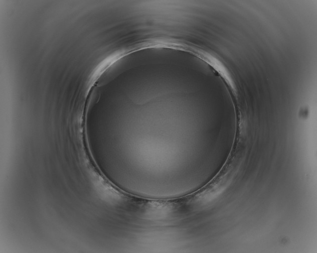 X0000091480954200708161416