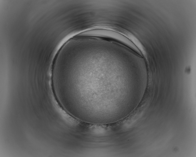 X0000091480955200708161416