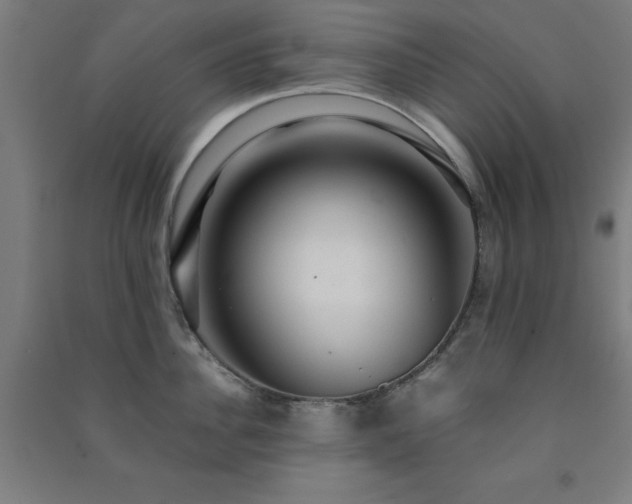 X0000091480956200708161416
