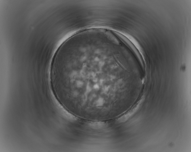 X0000091480957200708161416