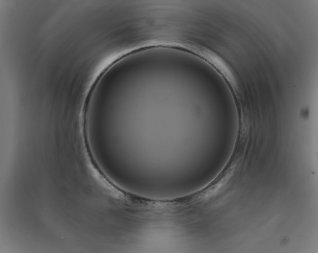X0000091480958200708161416