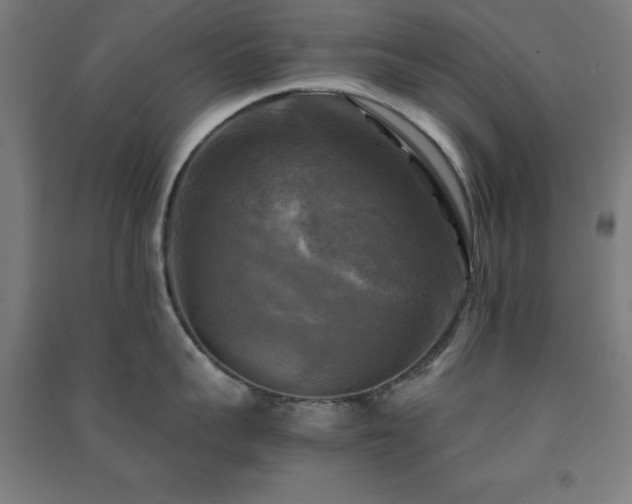 X0000091480959200708161416
