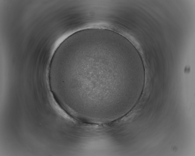 X0000091480960200708161416