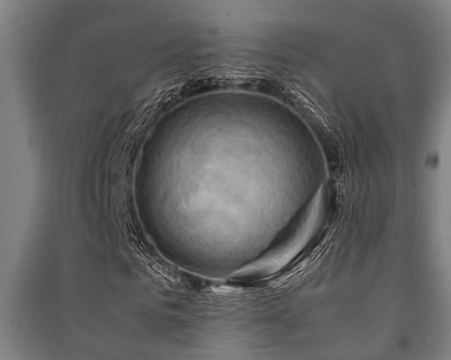X0000091480961200708161415