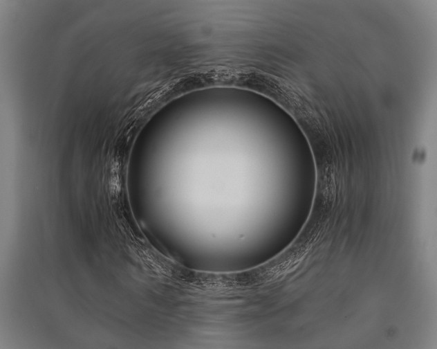 X0000091480962200708161415
