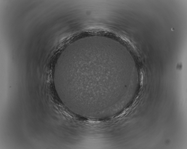 X0000091480965200708161415