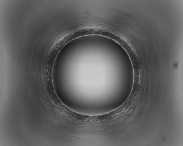 X0000091480967200708161415