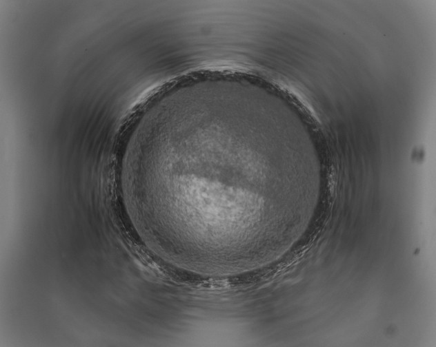 X0000091480968200708161415