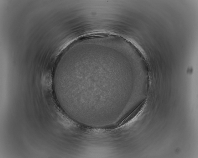 X0000091480969200708161415