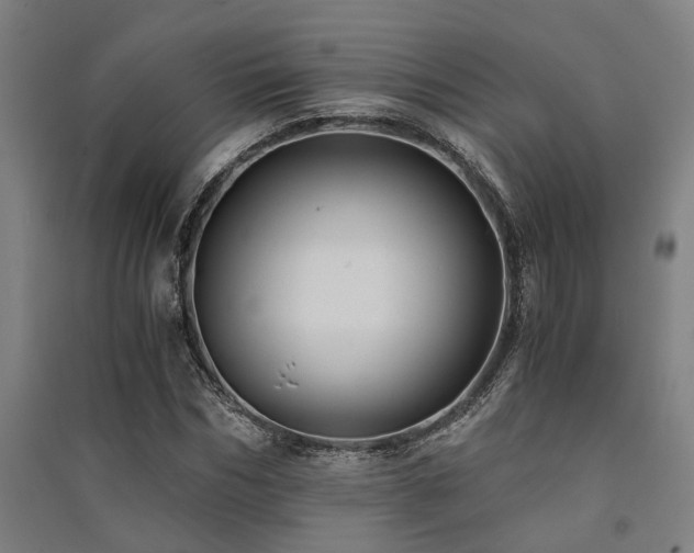 X0000091480970200708161415