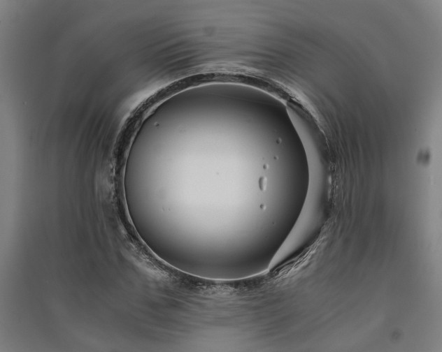X0000091480971200708161415