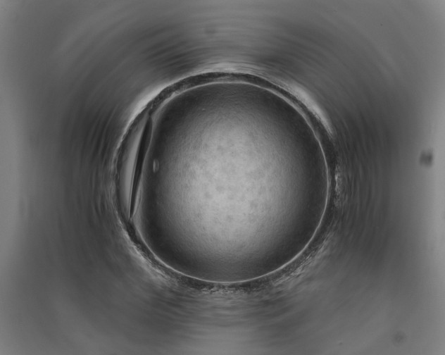 X0000091480972200708161415