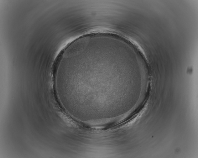 X0000091480973200708161415