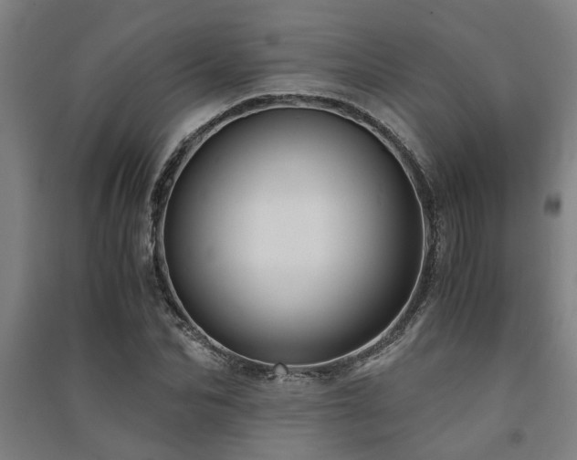 X0000091480974200708161415