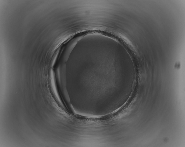 X0000091480977200708161415
