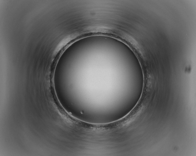 X0000091480978200708161415