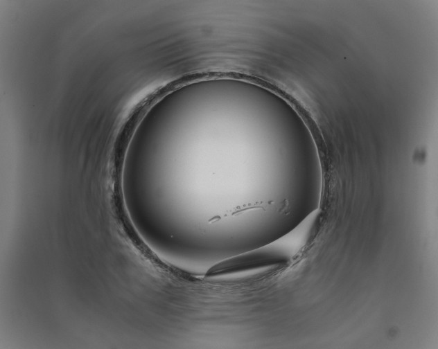 X0000091480979200708161415