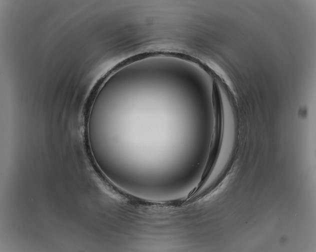 X0000091480981200708161415
