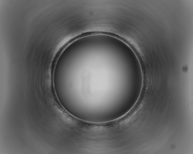 X0000091480982200708161415