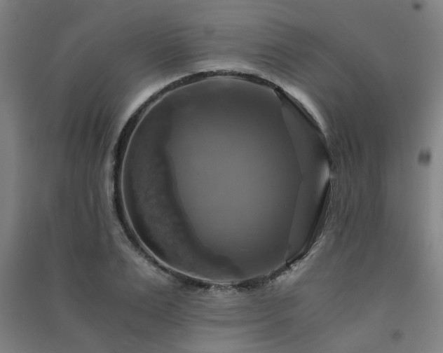 X0000091480983200708161415