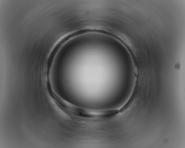 X0000091480984200708161415
