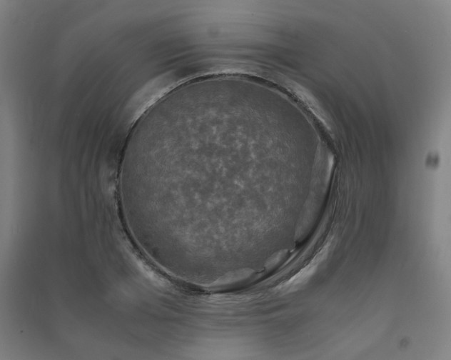 X0000091480985200708161415