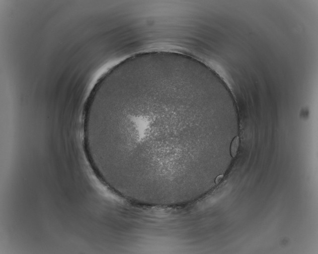 X0000091480987200708161415