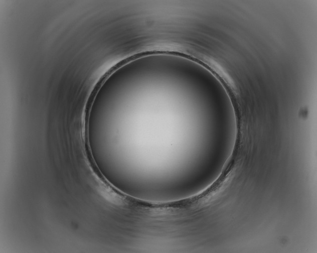 X0000091480988200708161415