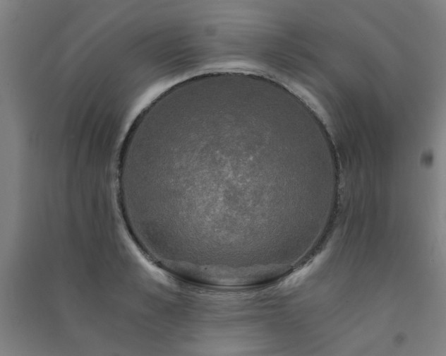 X0000091480989200708161415