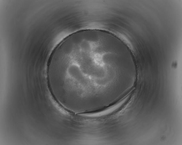 X0000091480990200708161415