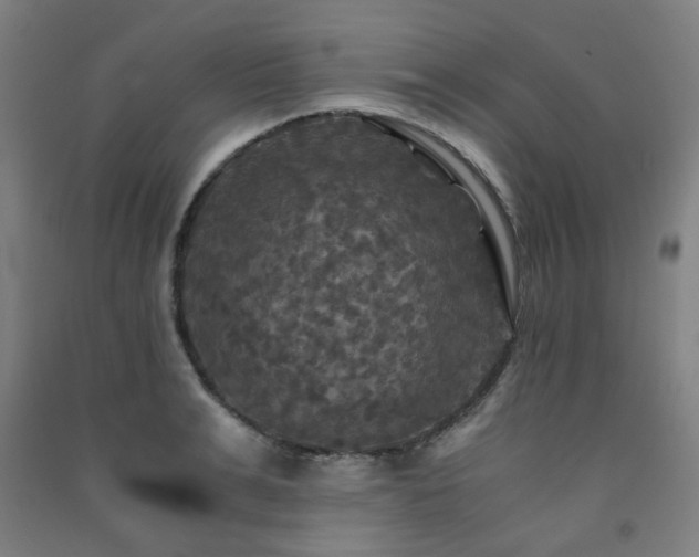 X0000091480991200708161415