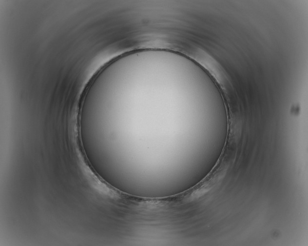 X0000091481000200708161415