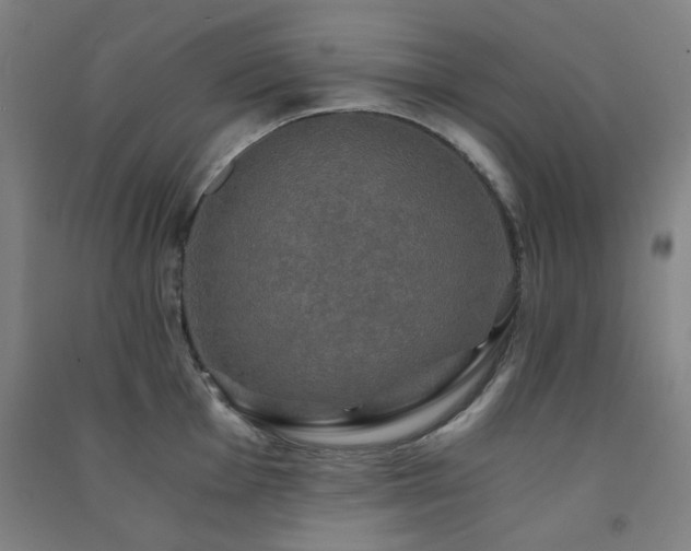 X0000091481001200708161415