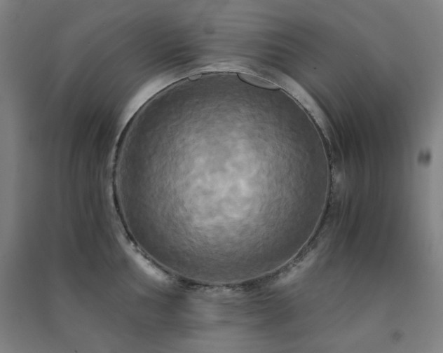 X0000091481002200708161415