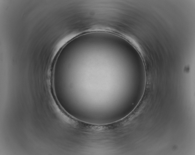 X0000091481003200708161415