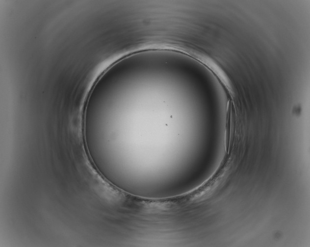 X0000091481004200708161415