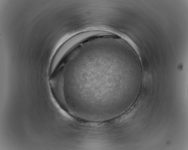 X0000091481005200708161415