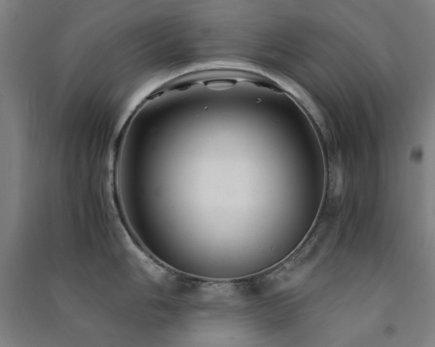 X0000091481006200708161415
