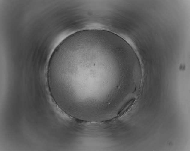 X0000091481008200708161415