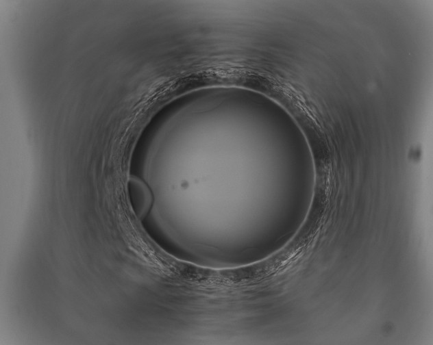 X0000091481009200708161414