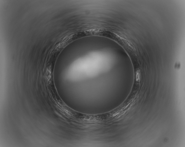 X0000091481011200708161414