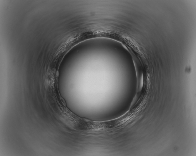X0000091481012200708161414