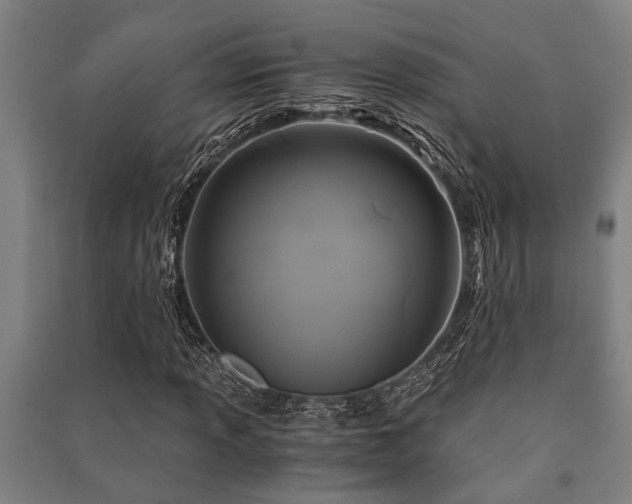 X0000091481013200708161414