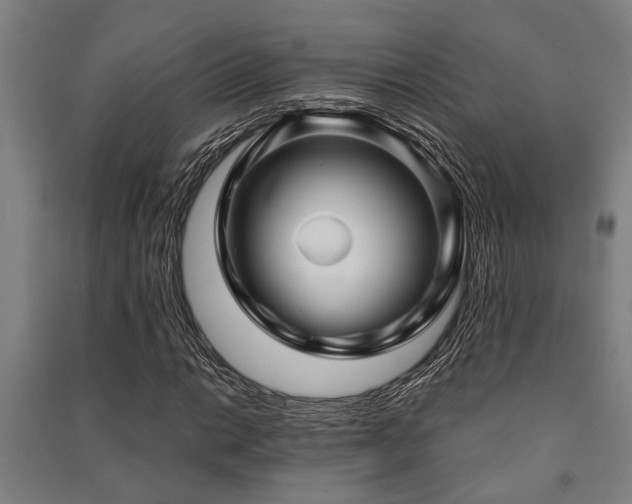X0000091481014200708161414