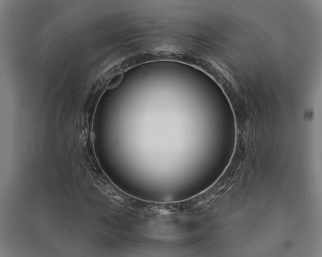 X0000091481015200708161414