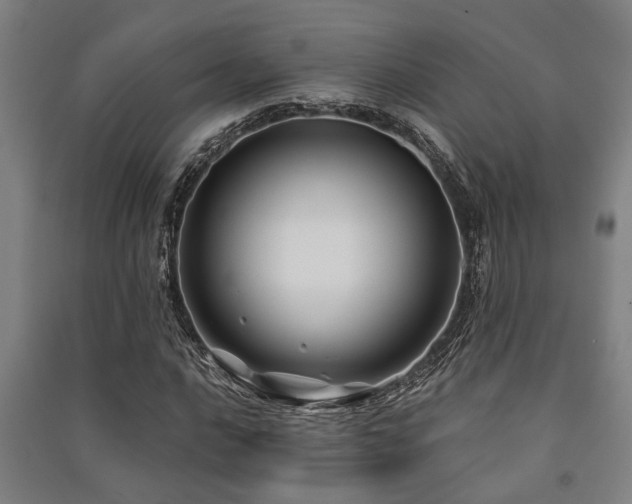 X0000091481016200708161414