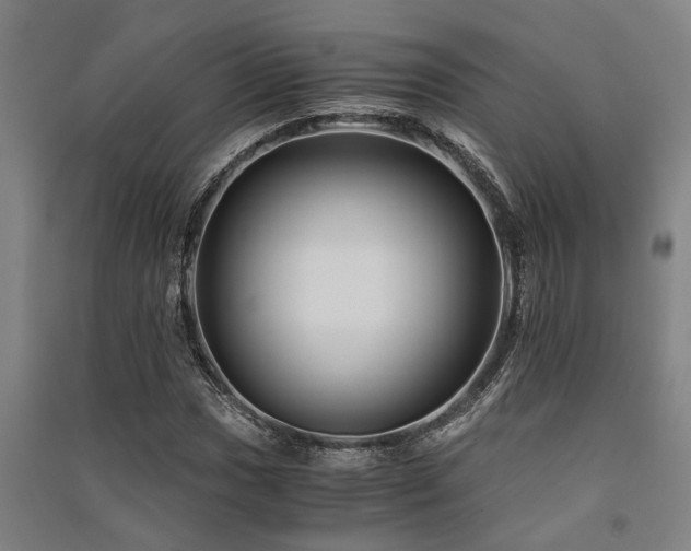 X0000091481017200708161414